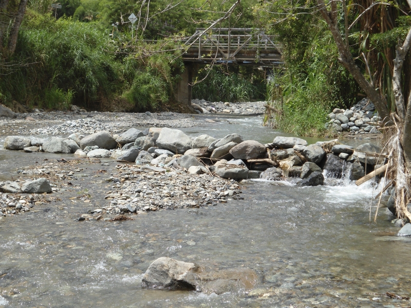 RIO SINÚ--Título PGG-13251