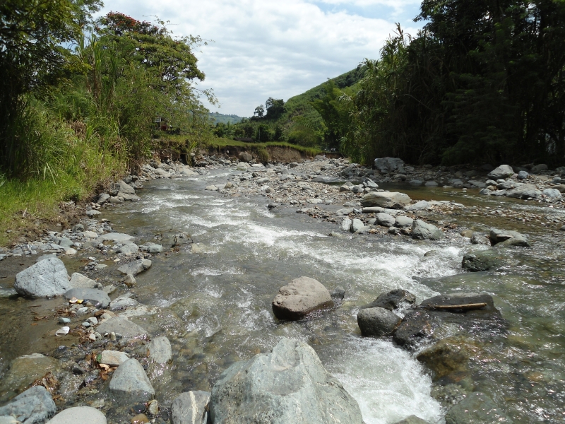 RIO TAREAS--Titulo 655-17